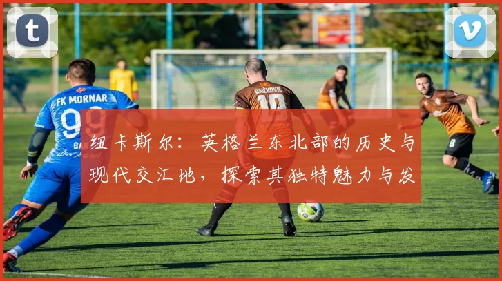 纽卡斯尔:英格兰东北部的历史与现代交汇地,探索其独特魅力与发展潜力
