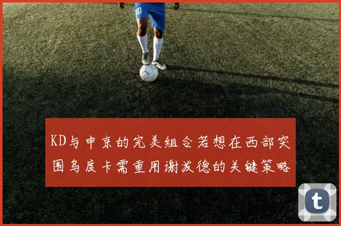 KD与申京的完美组合若想在西部突围乌度卡需重用谢泼德的关键策略