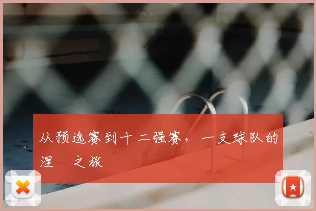 从预选赛到十二强赛，一支球队的涅槃之旅