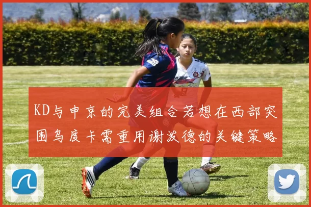 KD与申京的完美组合若想在西部突围乌度卡需重用谢泼德的关键策略