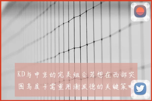 KD与申京的完美组合若想在西部突围乌度卡需重用谢泼德的关键策略