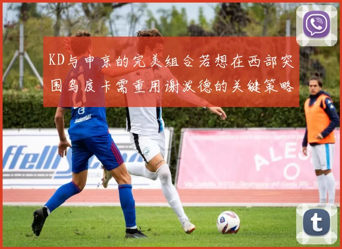 KD与申京的完美组合若想在西部突围乌度卡需重用谢泼德的关键策略
