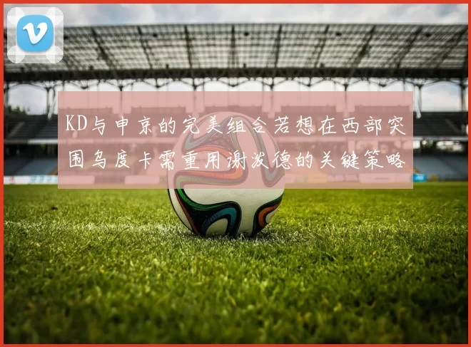 KD与申京的完美组合若想在西部突围乌度卡需重用谢泼德的关键策略
