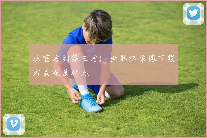 从官方到第三方:世界杯录像下载方式深度对比