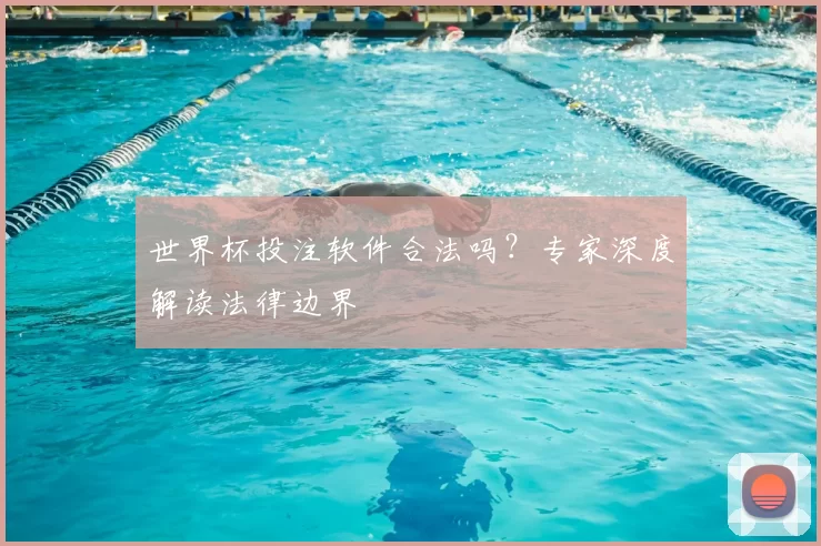 世界杯投注软件合法吗?专家深度解读法律边界