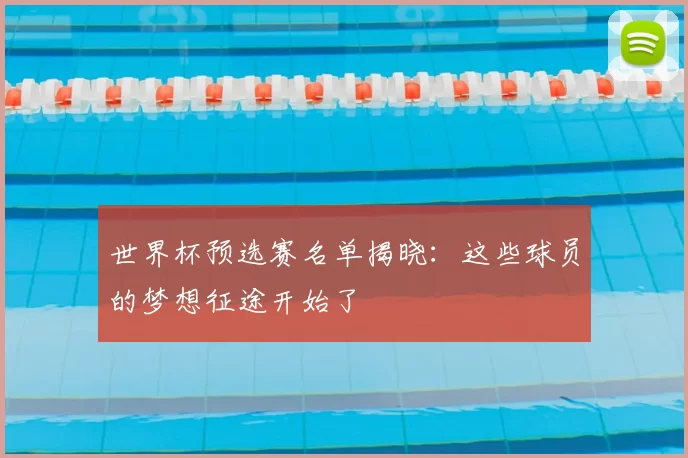 世界杯预选赛名单揭晓:这些球员的梦想征途开始了