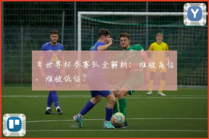 年世界杯参赛队全解析:谁被高估,谁被低估?