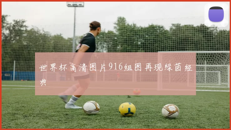 世界杯高清图片916组图再现绿茵经典