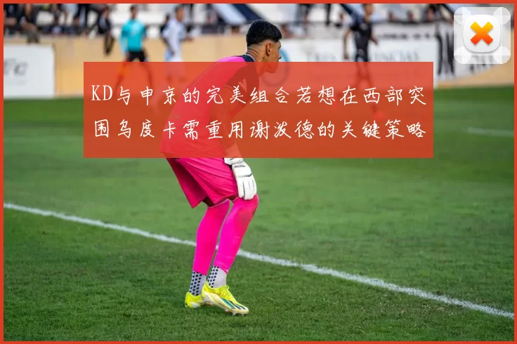 KD与申京的完美组合若想在西部突围乌度卡需重用谢泼德的关键策略