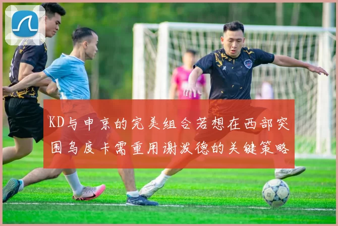 KD与申京的完美组合若想在西部突围乌度卡需重用谢泼德的关键策略