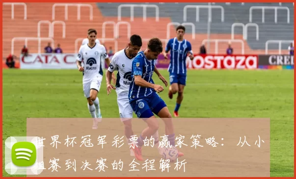 世界杯冠军彩票的赢家策略:从小组赛到决赛的全程解析
