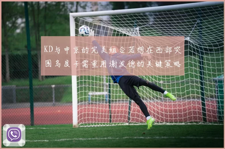 KD与申京的完美组合若想在西部突围乌度卡需重用谢泼德的关键策略