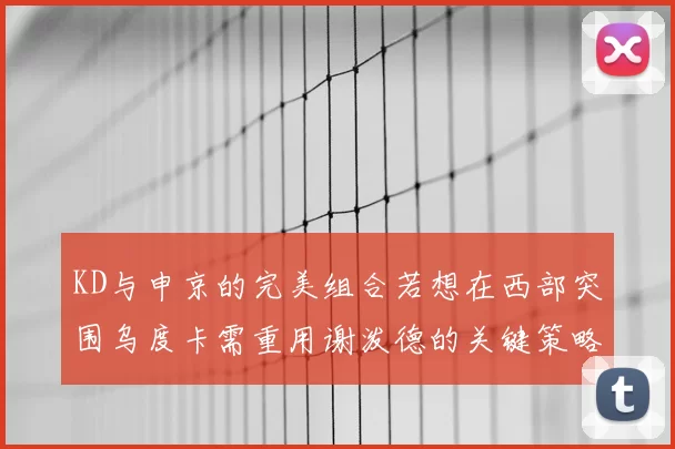 KD与申京的完美组合若想在西部突围乌度卡需重用谢泼德的关键策略