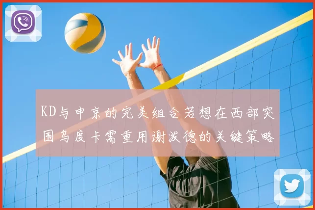 KD与申京的完美组合若想在西部突围乌度卡需重用谢泼德的关键策略