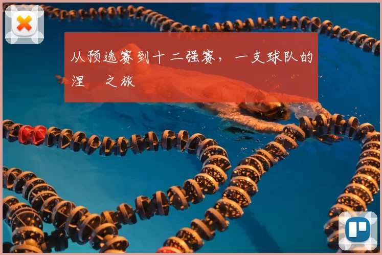 从预选赛到十二强赛，一支球队的涅槃之旅