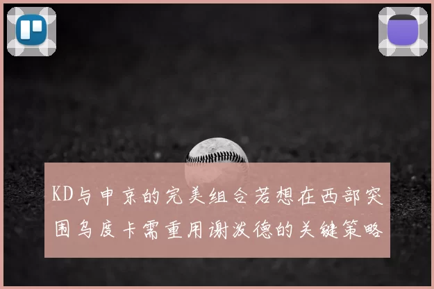 KD与申京的完美组合若想在西部突围乌度卡需重用谢泼德的关键策略